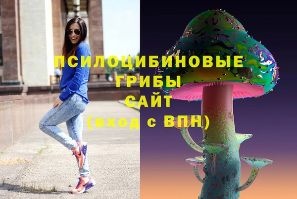 прущие грибы Орехово-Зуево
