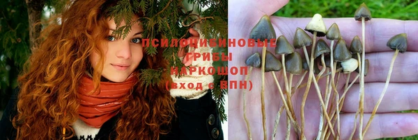 spice Алексин